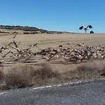 Rural 