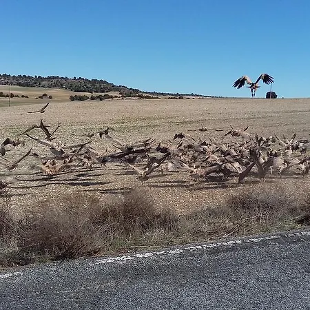 Rural 