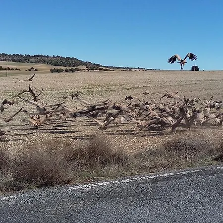 Rural 